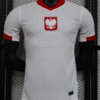 Poland World Cup jersey 22 | AZKitLocker